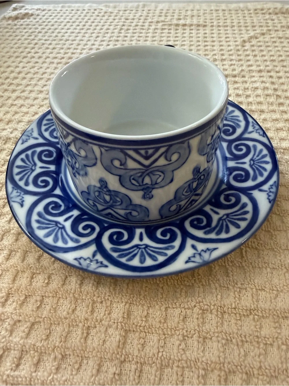 Bombay Blue and White Decorative Cup and Saucer